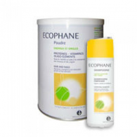 Biorga Ecophane Pó 318 g + Champô Fortificante 100 ml